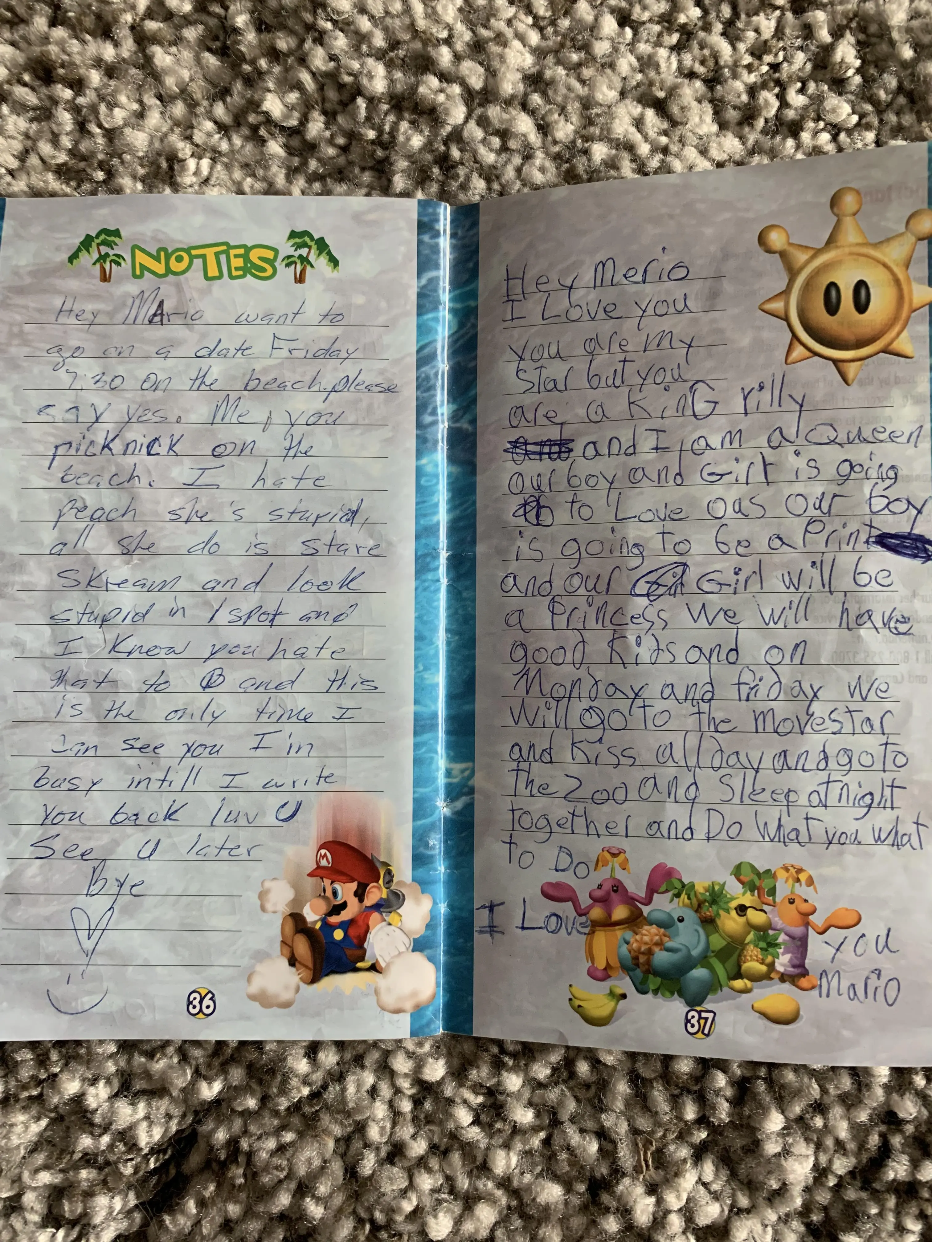 These “notes” in the manual for Super Mario Sunshine I got from a ...