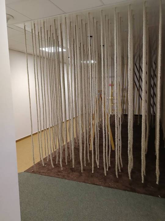 These ropes (?) got installed in a rest area at the office. Any idea ...