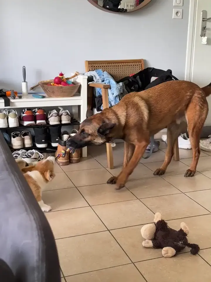They never give up