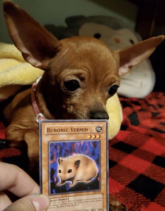 They're the same thing.