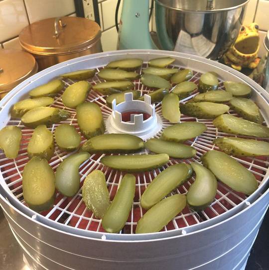 Thin line between genius and insanity