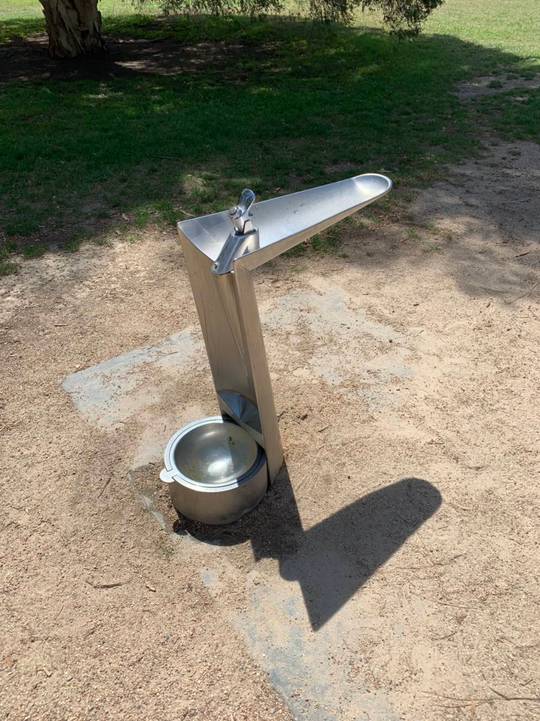 This drinking fountain that collects unused water in a bowl for dogs