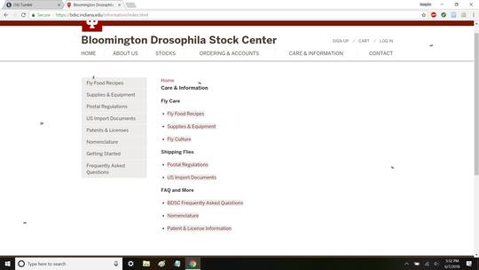 This fruit fly ordering website has "flies" crawl around the screen and move away from your cursor - pretty cool, but not when you work in a lab that uses fruit flies and you think you've had a spontaneous disaster in the incubator and all your fly stocks are escaping