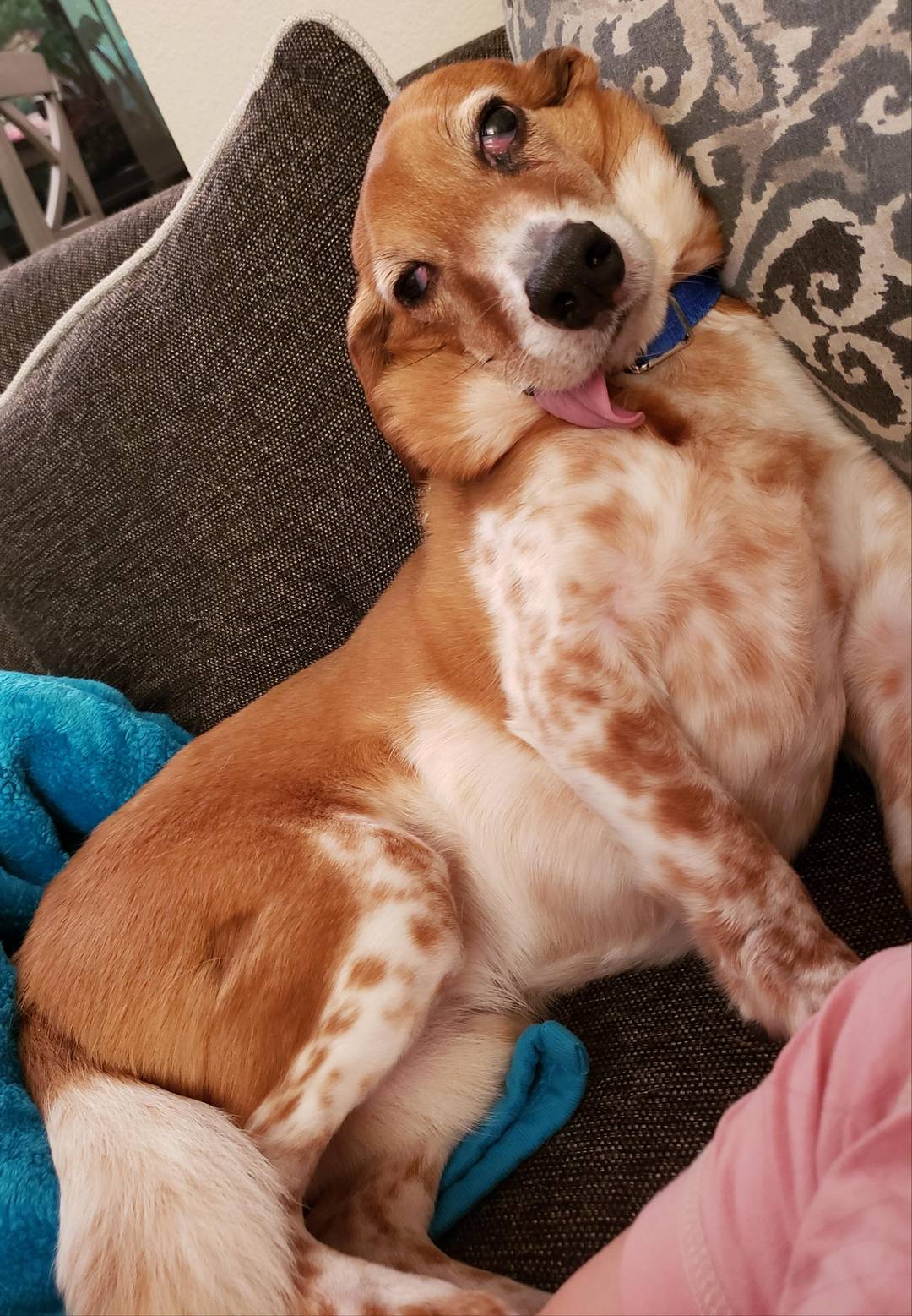 This is his seductive pose.