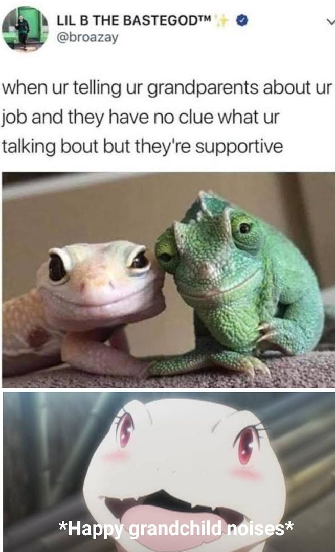 This is some universal level stuff