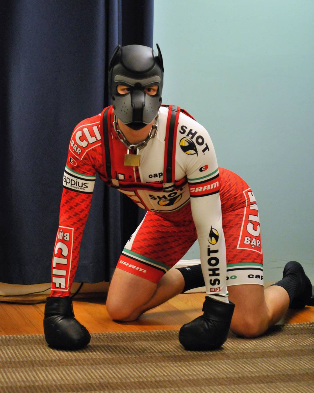 This is what happens when you bark at too many cyclists 🐶🚲