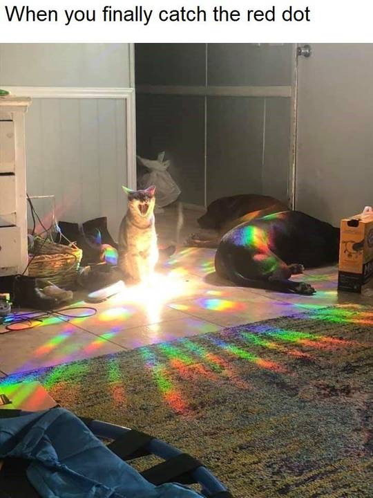 This isn't even his final form