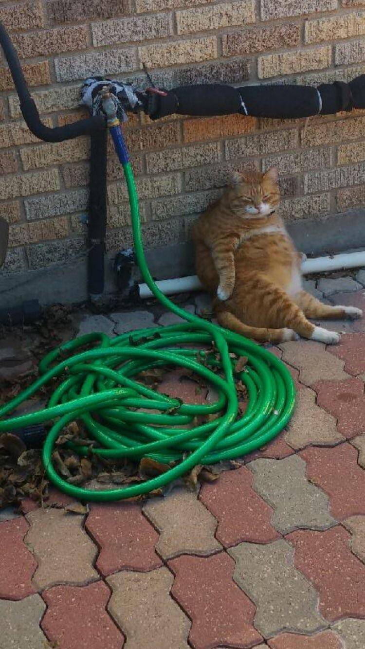 This one belongs here.