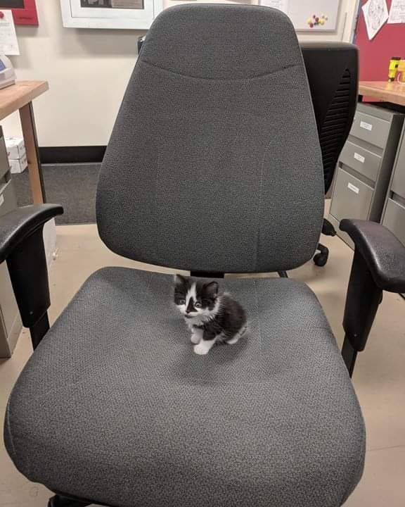 This seats taken.