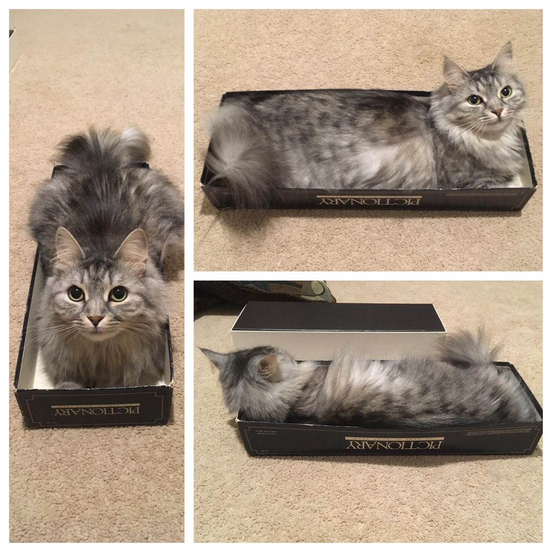 Three trappings, all on the same day!