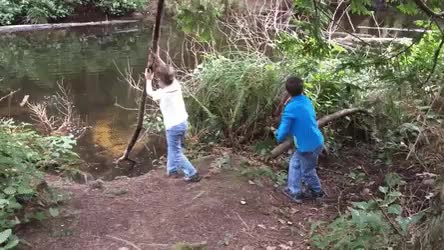 Throwing a branch back into the water