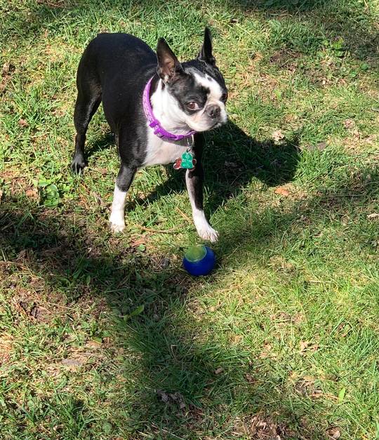 Throwing some serious side eye