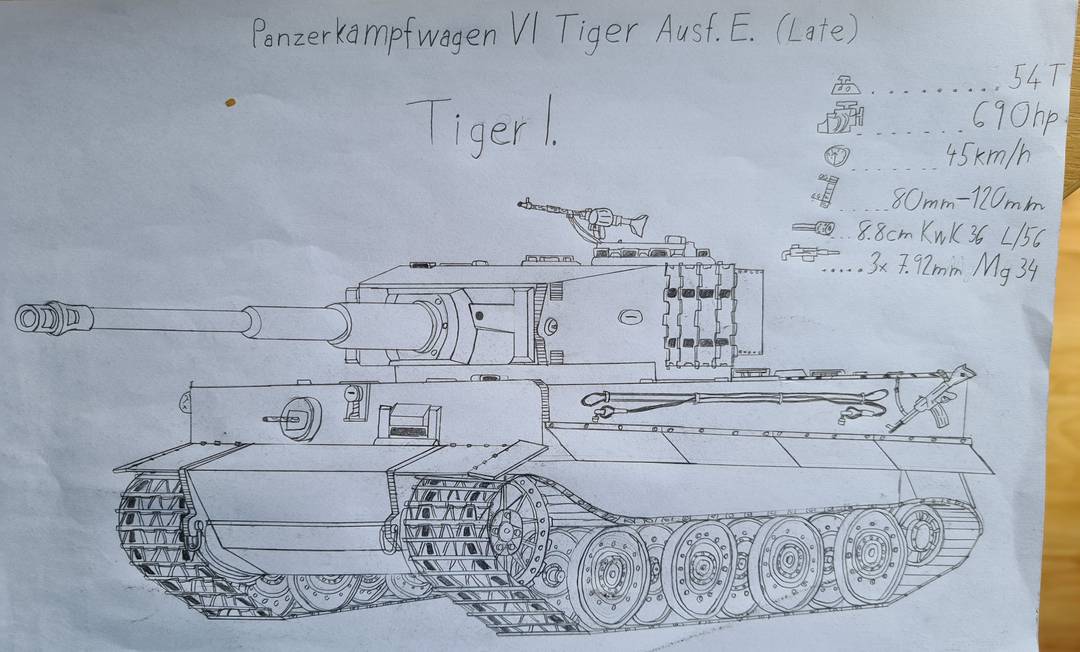Tiger Drawing