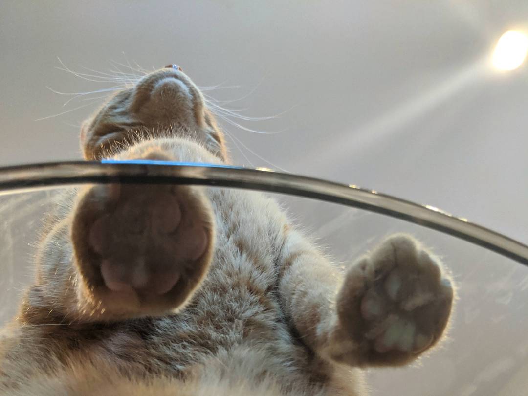 Toebeans