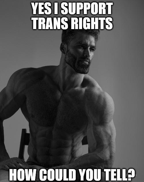 Trans rights!