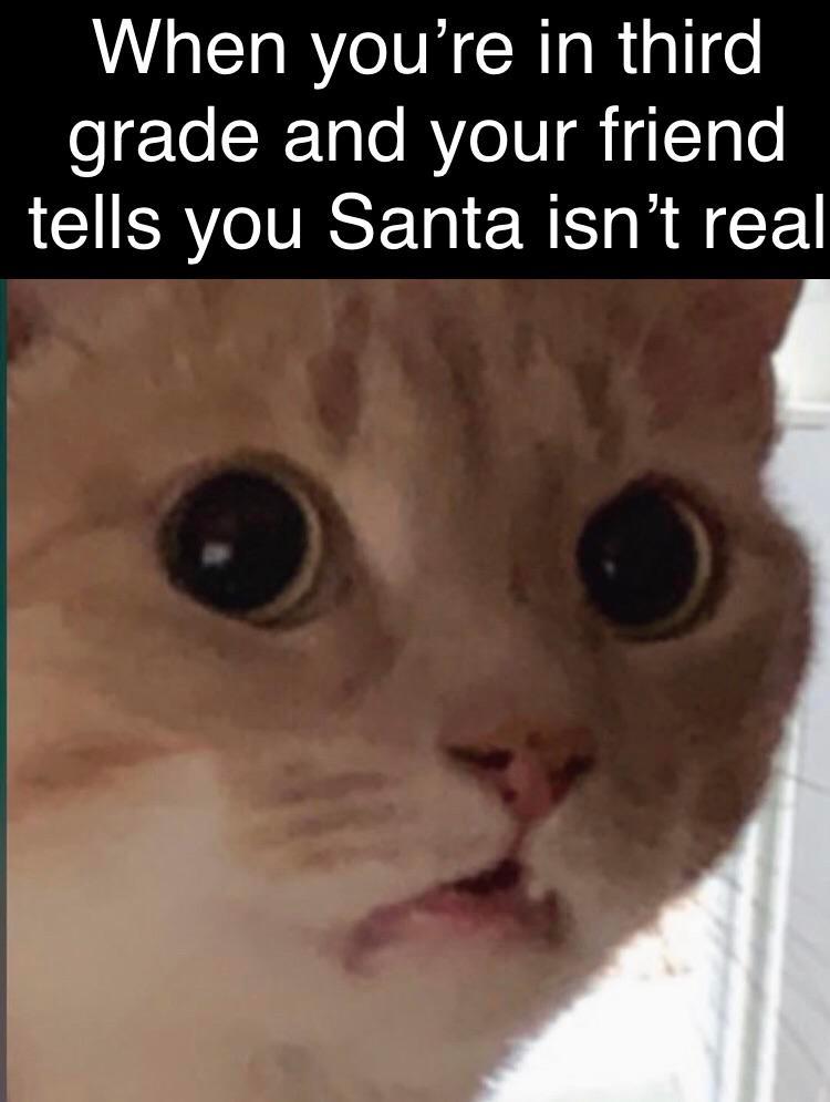 True betrayal