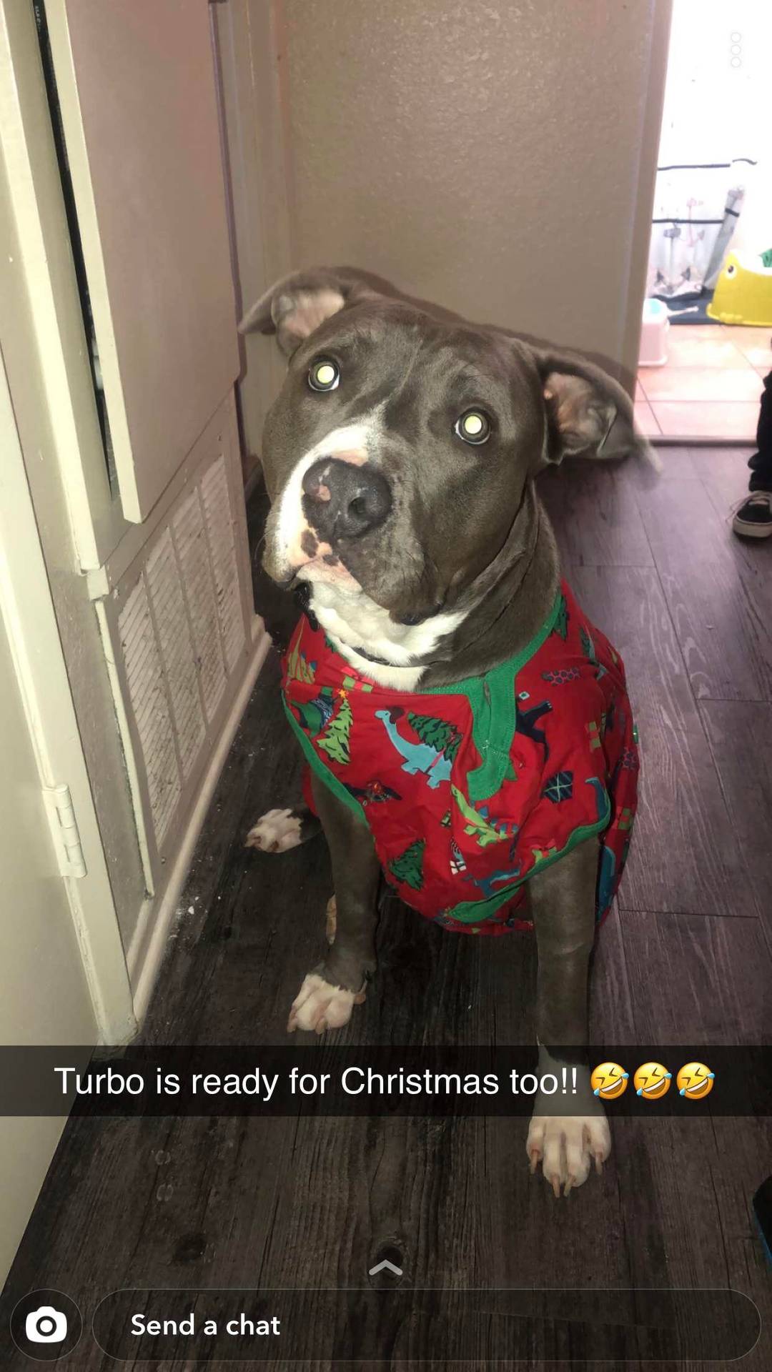 Turbo in is Christmas pjs