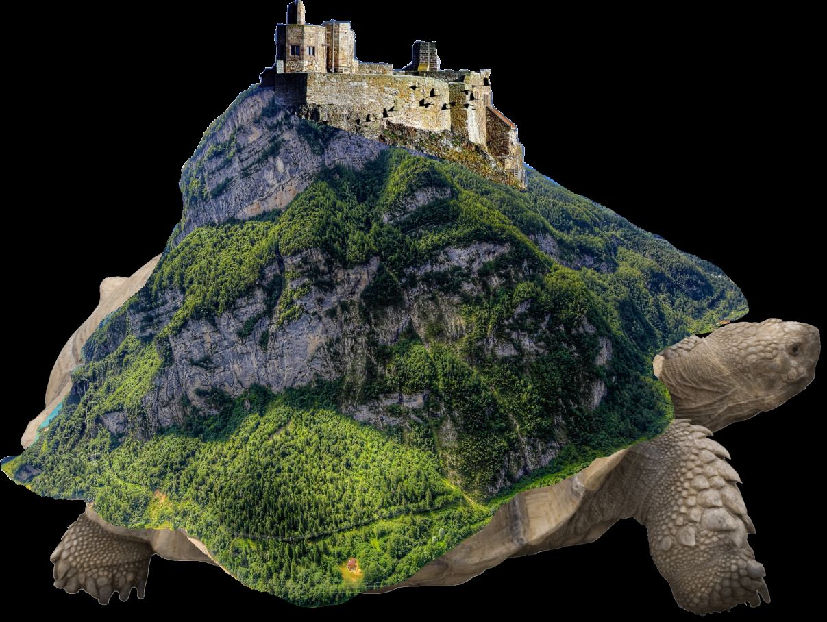 Turtle Castle by Luteraar