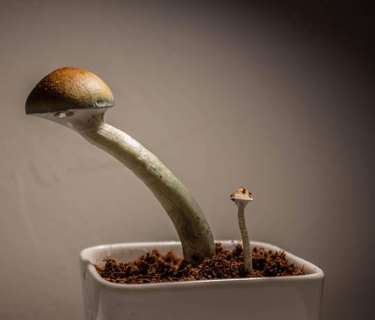 UFOs blasting off 👽