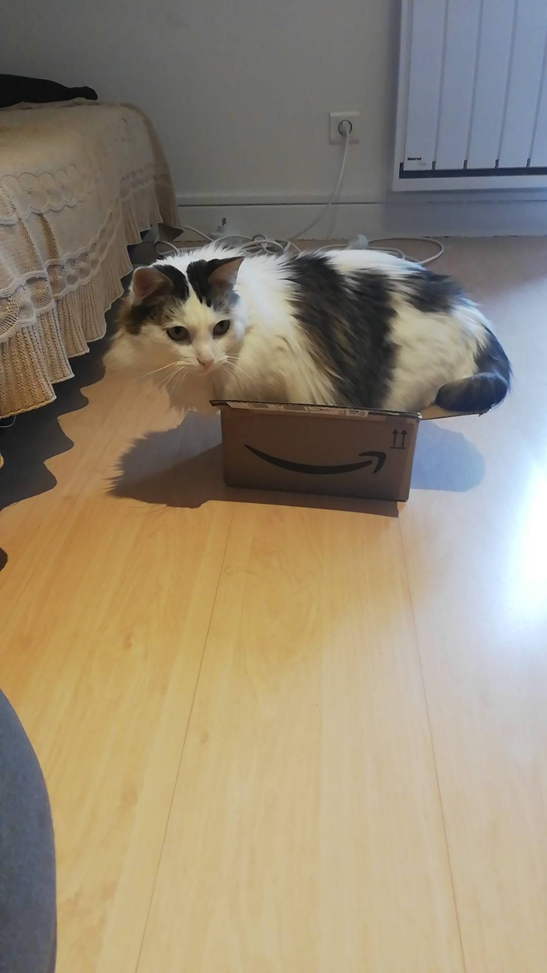 Undersize trap is working !