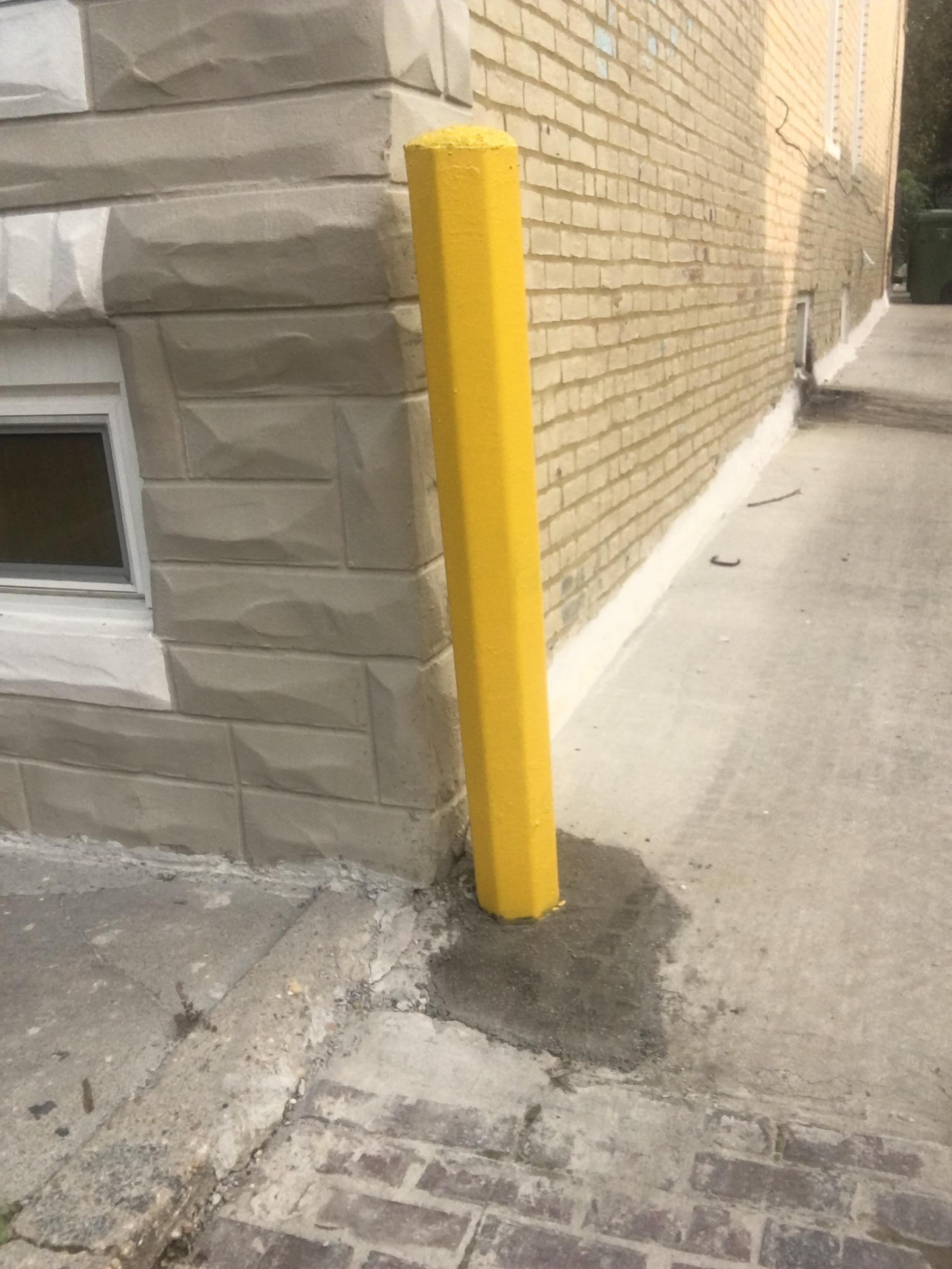 Toni-Camille: The Reason She's Been Staying Out Of The Public Eye.