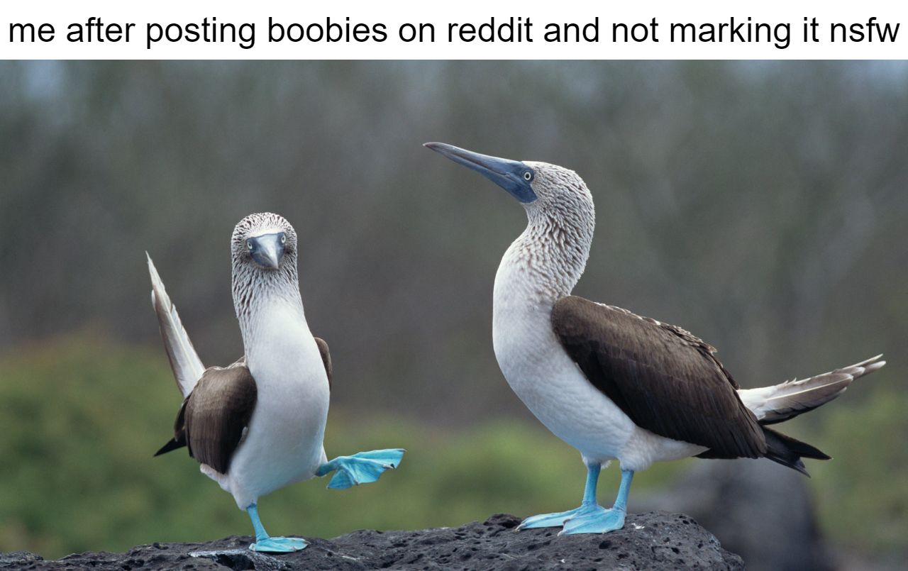 wait, that's illegal