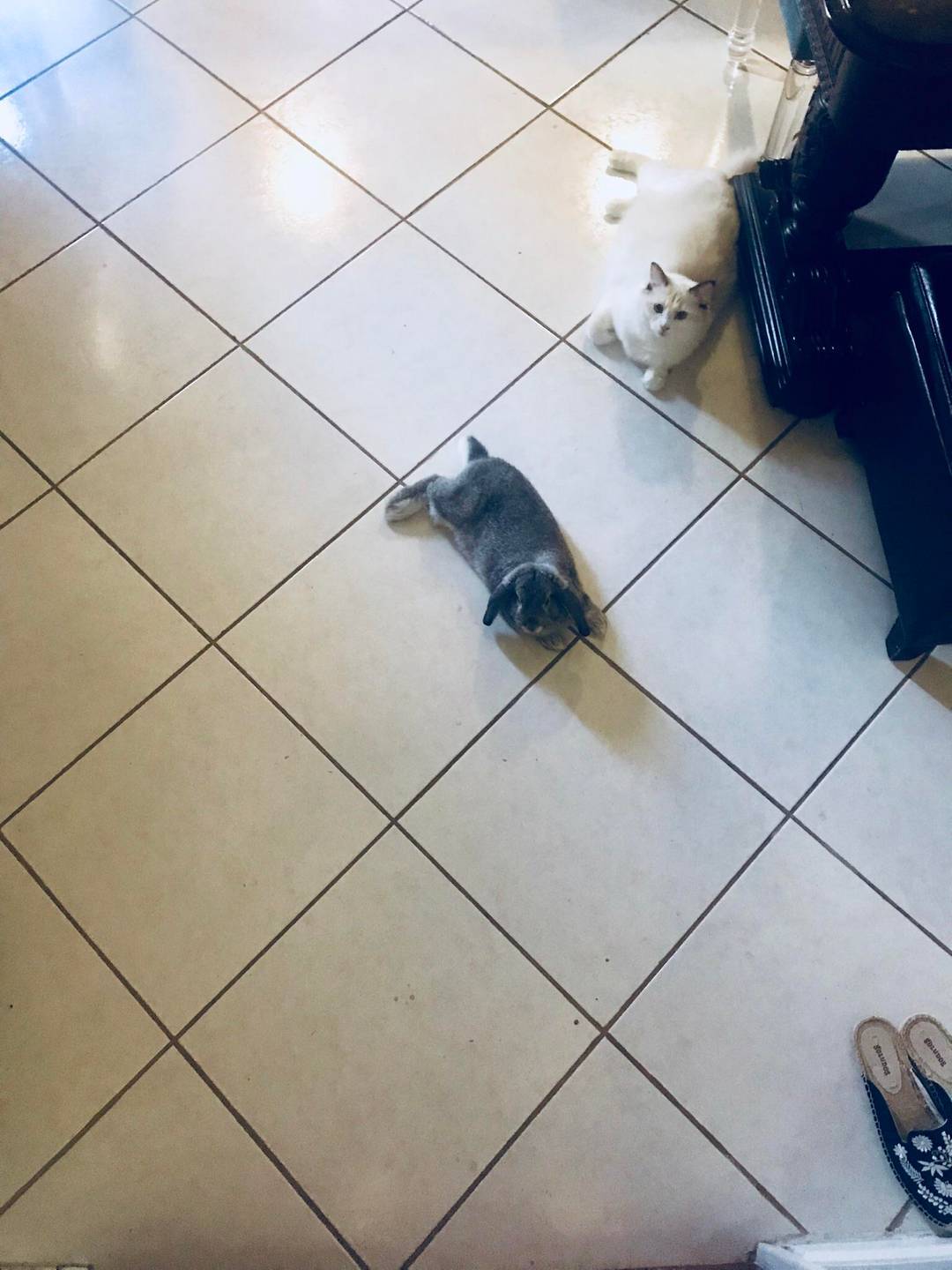 Waiting for breakfast
