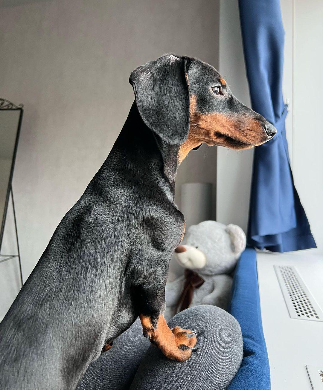 Waiting for her pizza delivery