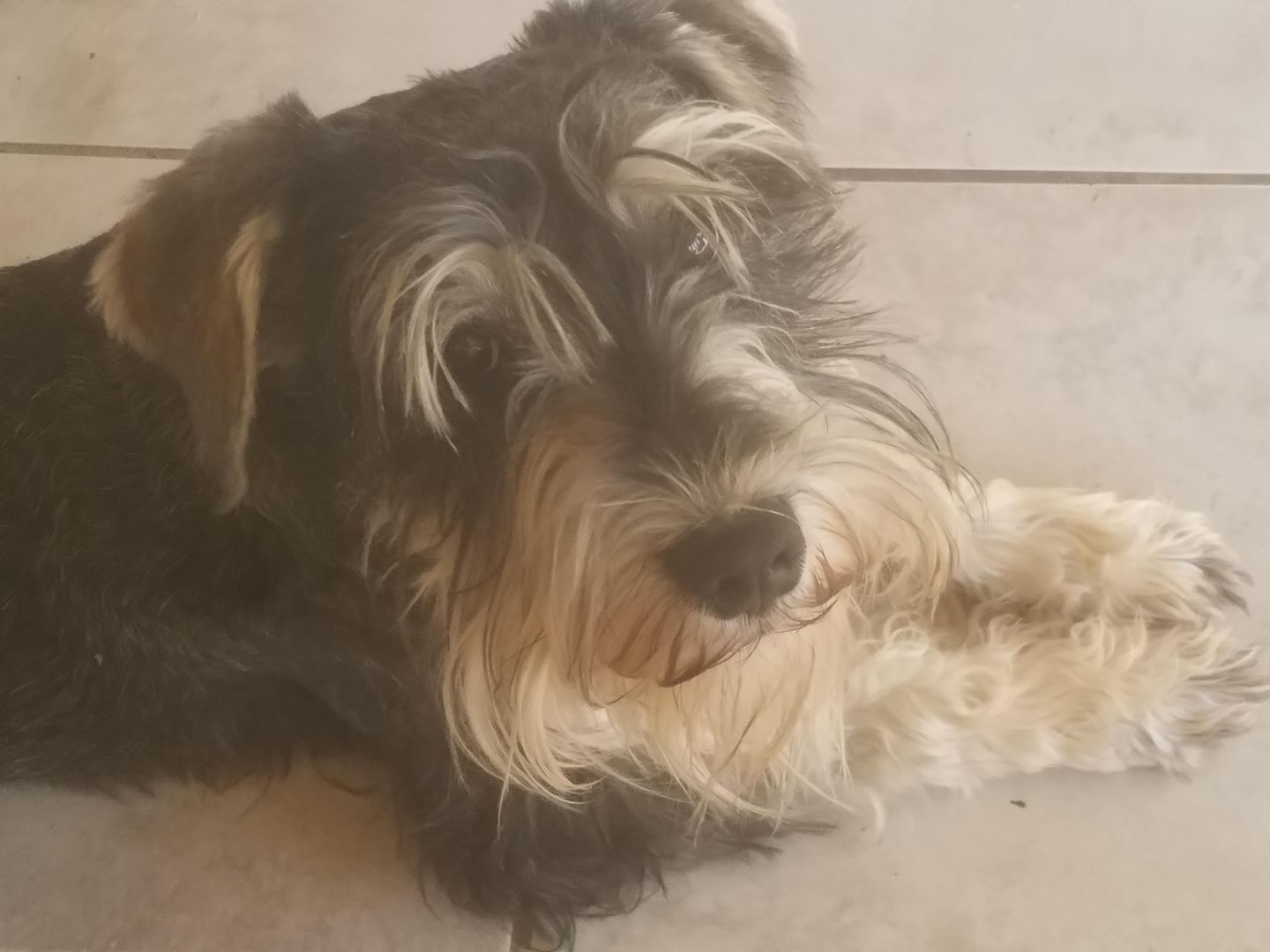 Wally Woo-Woo's Sweet Eyes