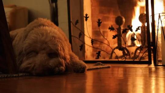 Warm by the fire. My first cinemagraph.