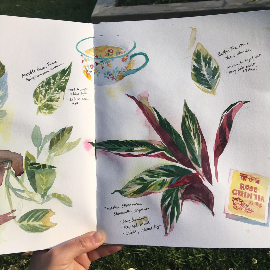 Watercolor sketchbooking! I’m super new to reddit but this seems like a cool spot to share some stuff! ❤️watercolor