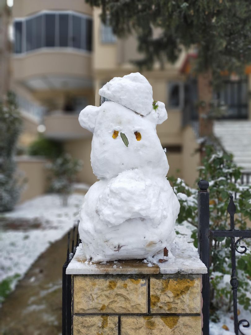 We Made A Snow-Alien