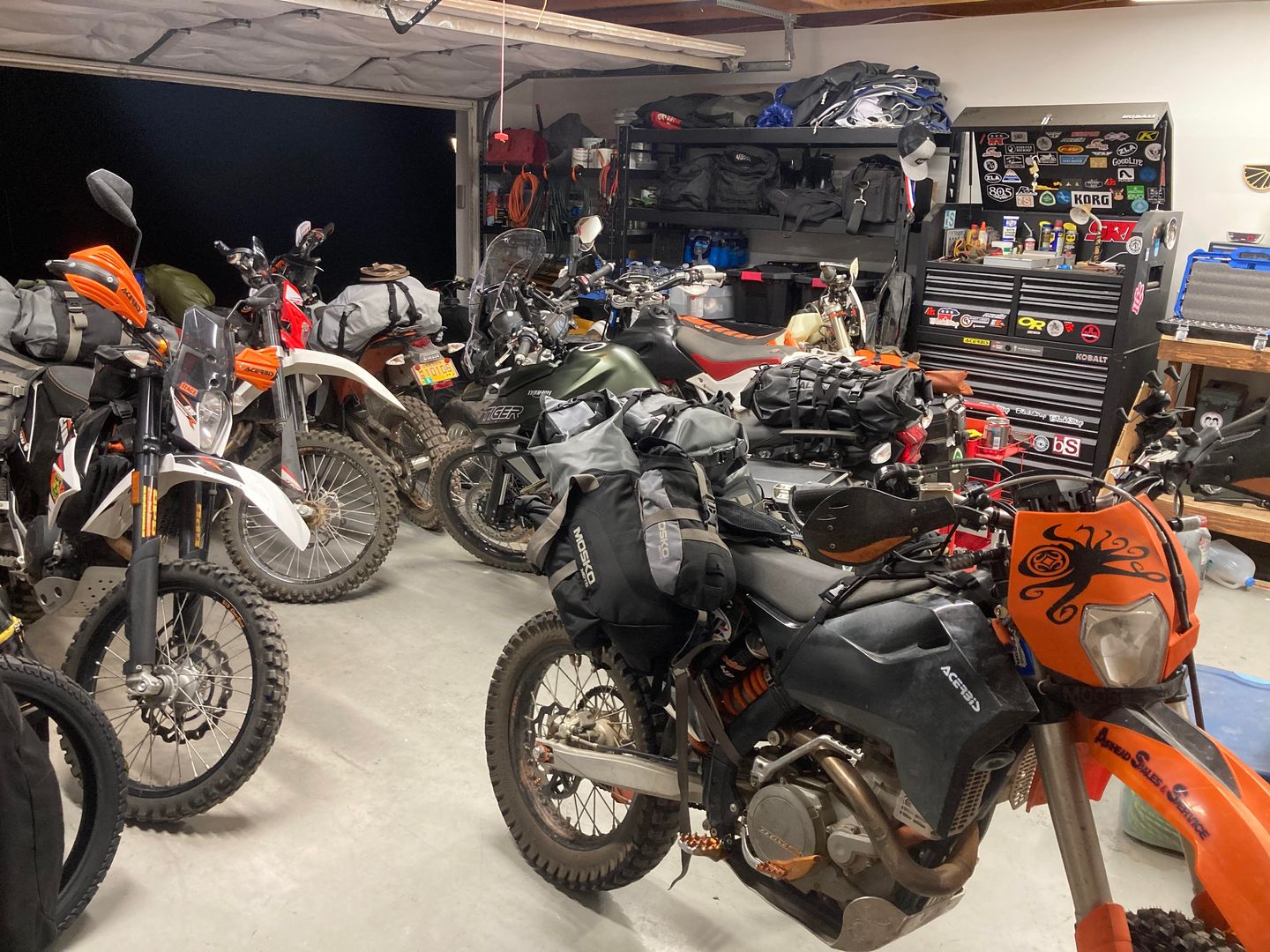 We ride at dawn!