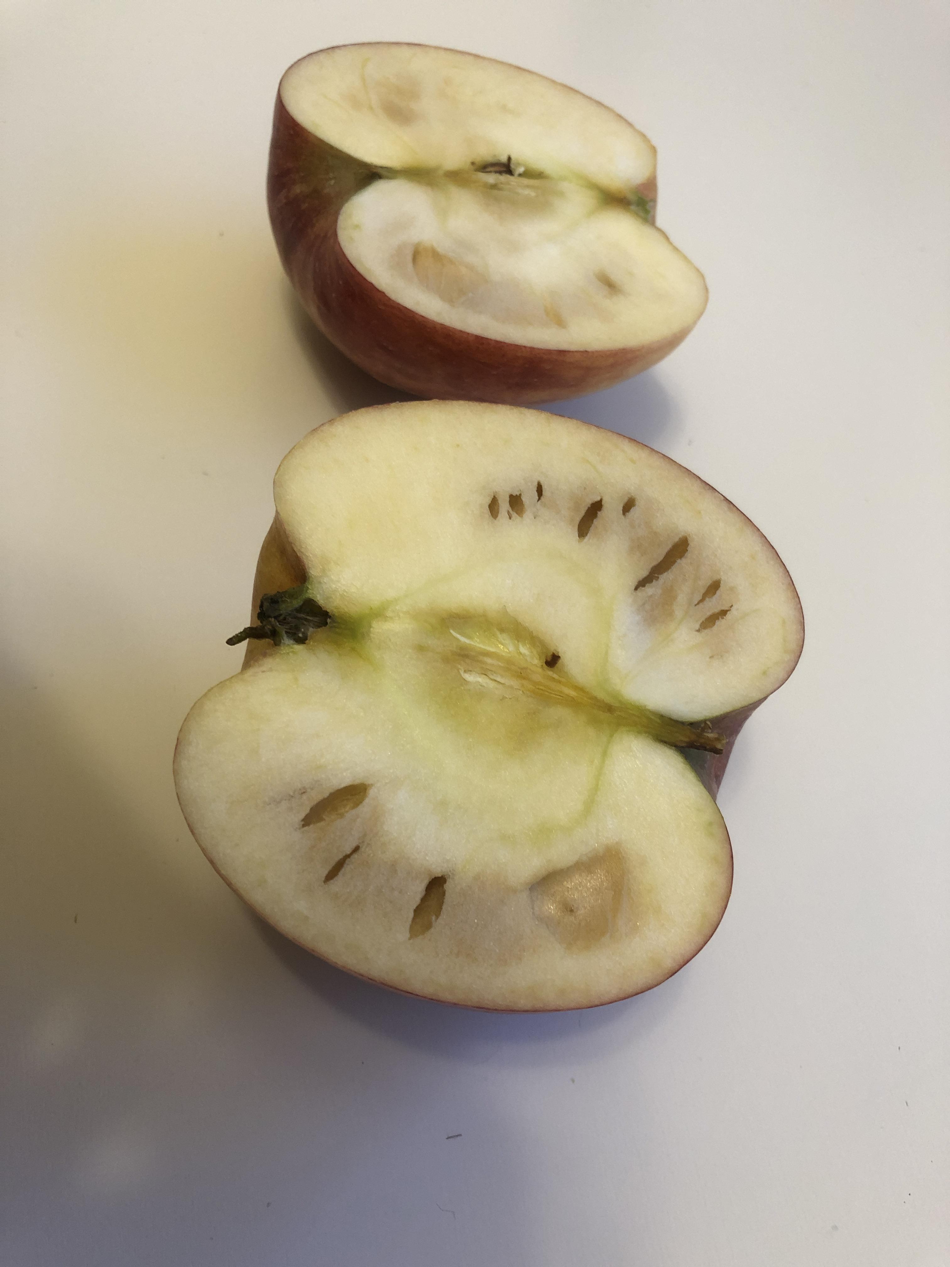 Weird-looking apple insides—any idea what happened to it? | Scrolller