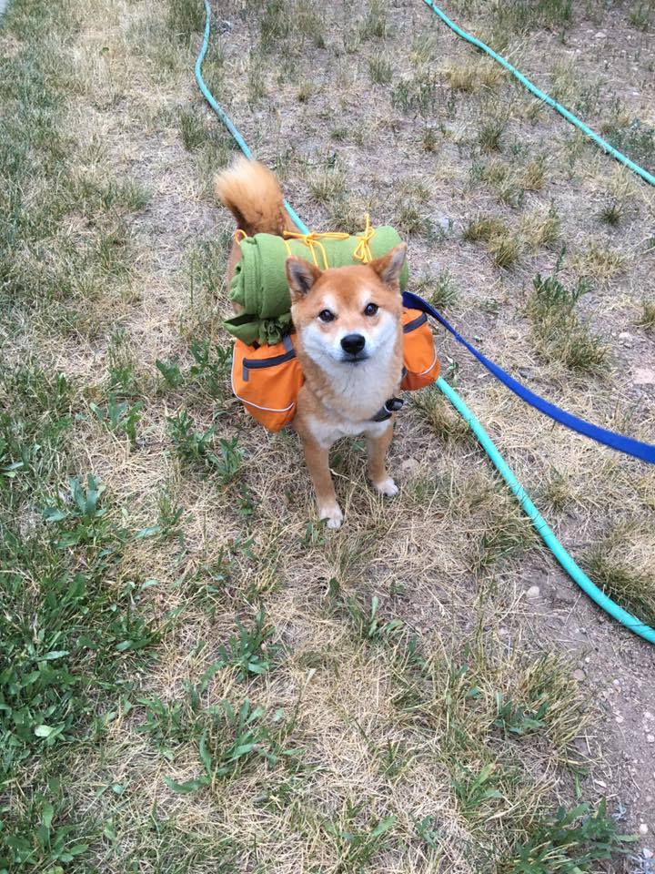 Can't go to the moon without supplies!