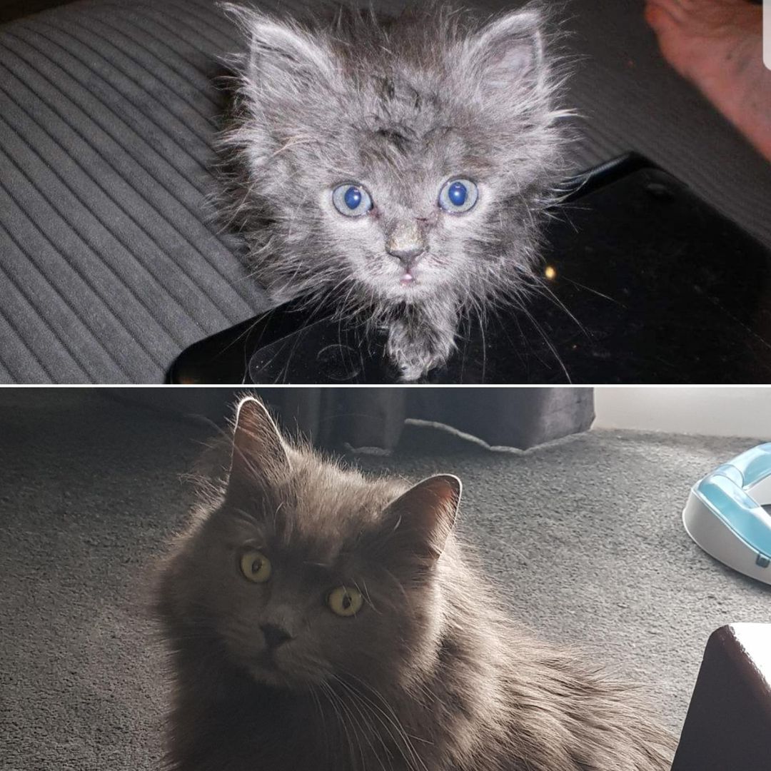 What a difference 6 years makes!!!