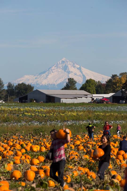 What a wonderful fall day