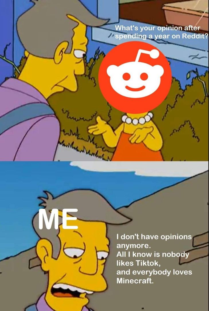 What a wonderful year