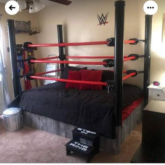 What do you say we grab a steel chair, a luchadore mask, and go for a few rounds?