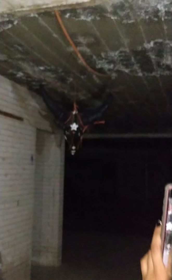 What does this means?