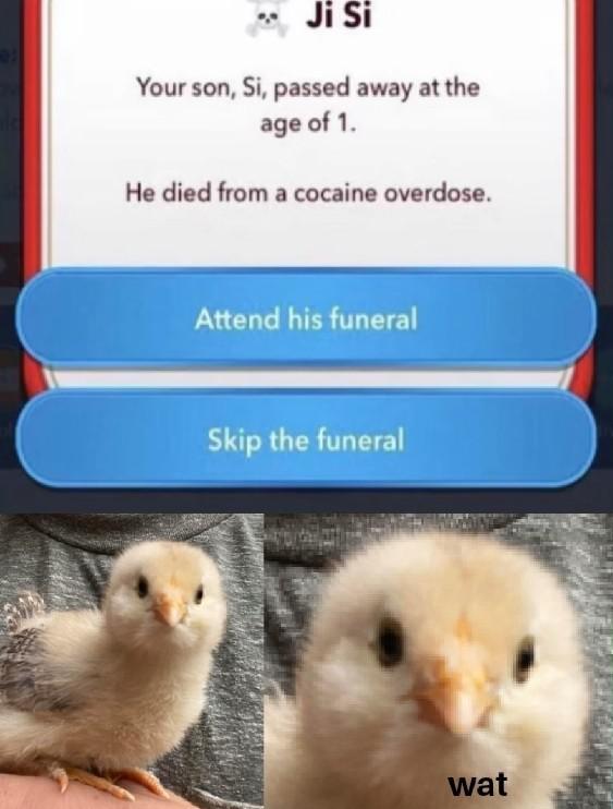 What how when im confused