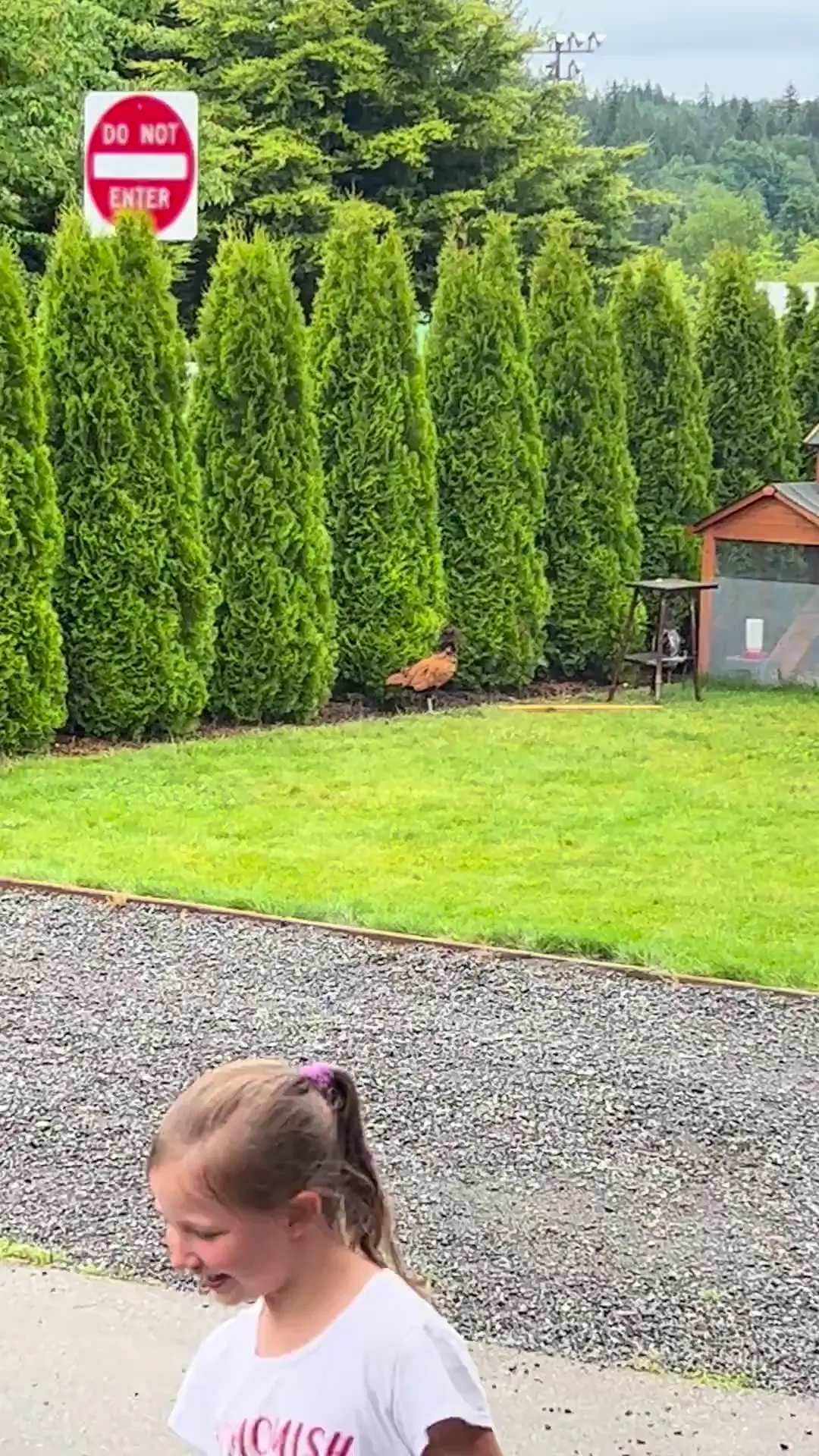 What’s actually going on around here?