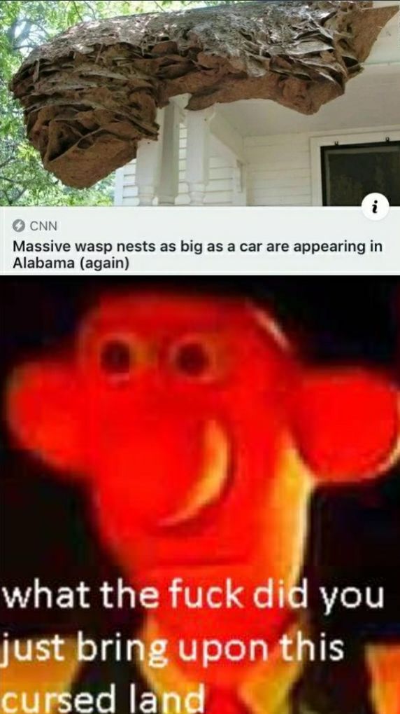 What the hell is that