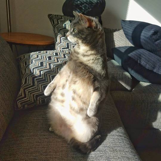 What was that?