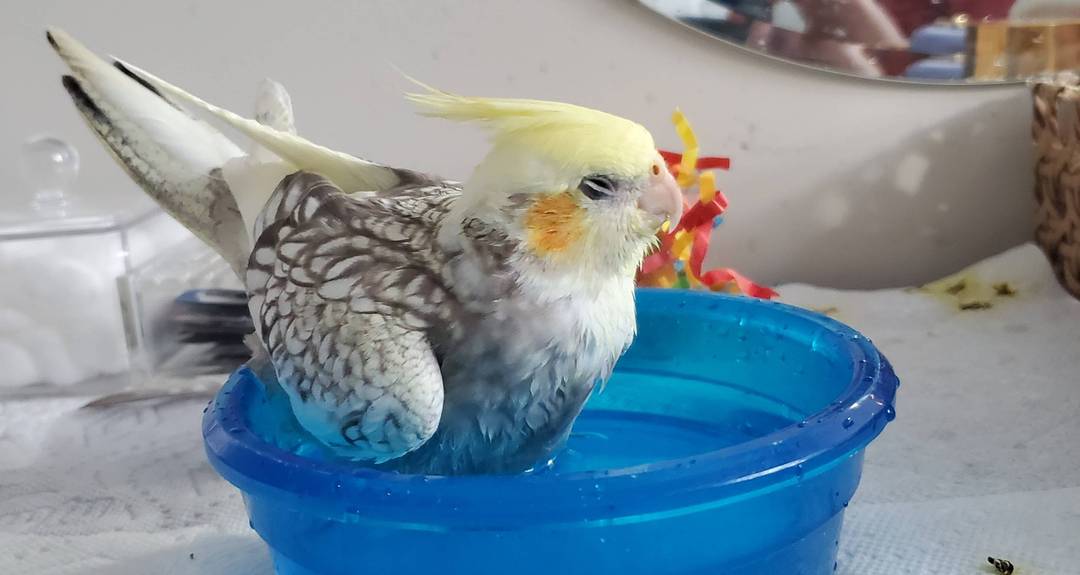 When the bath hits just right
