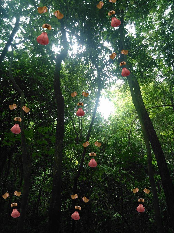 When you open Snapchat in Vietnam's forest