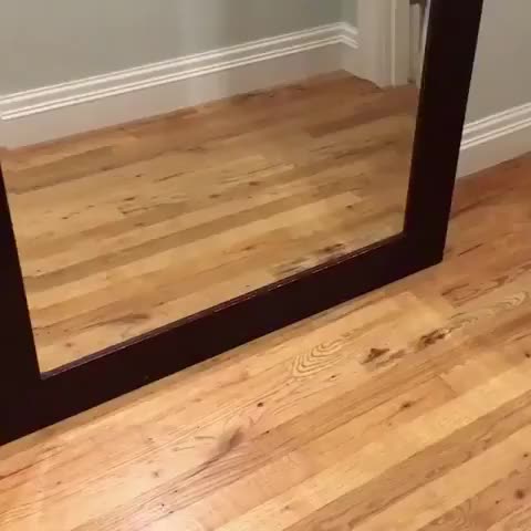 when you walk passed a mirror and realize how ugly you looked all day