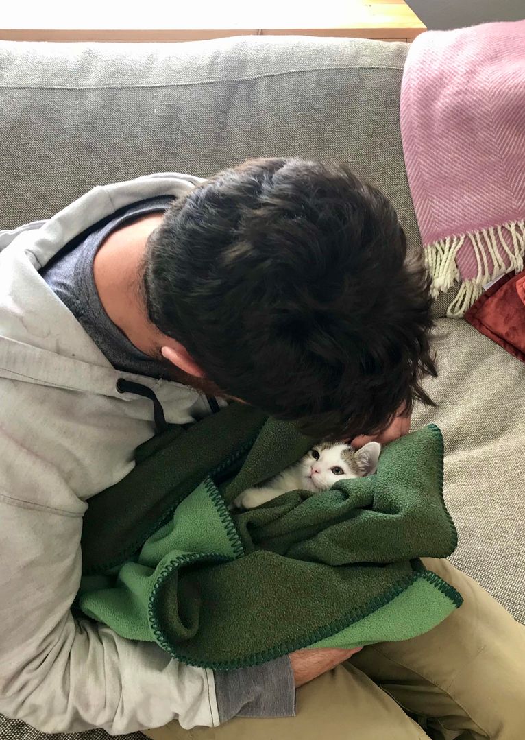 When your husband says he hates cats but you walk in on this
