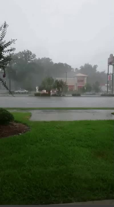 When Zeus gives you a one star review ★☆☆☆☆