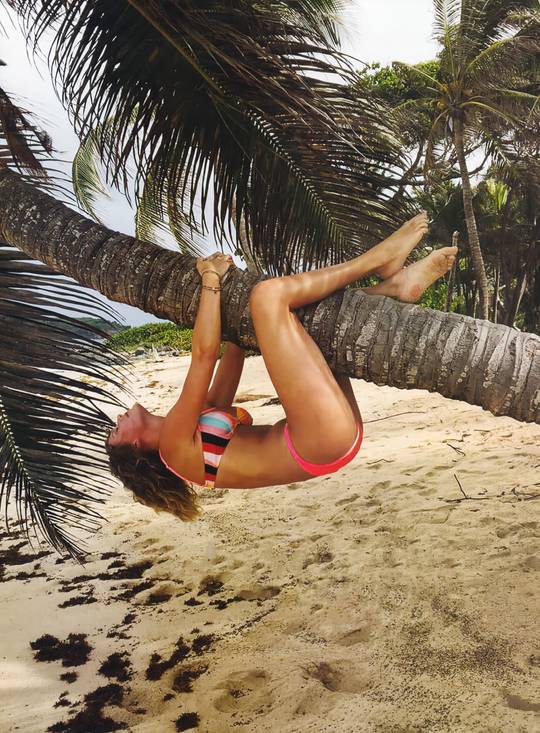 Where is this Taylor picture from?